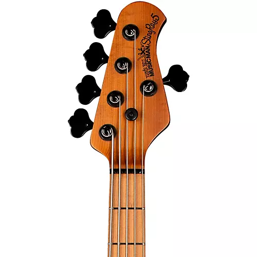 Ernie Ball Music Man StingRay5 Special H 5-String Electric Bass Guitar Black and Chrome - musicians--Friend