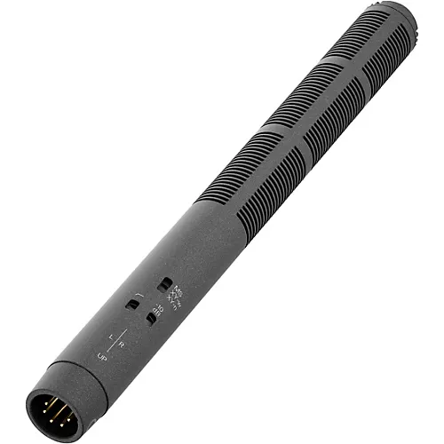 Sennheiser MKH 8018 Stereo Shotgun Microphone - musicians--Friend