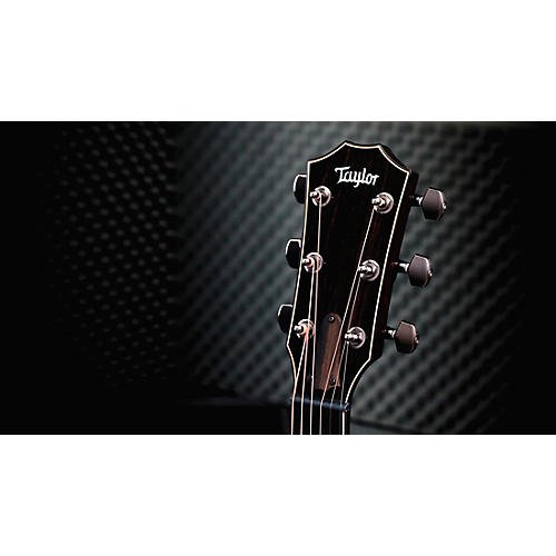 Taylor Custom All Urban Ash Grand Auditorium Acoustic-Electric Guitar Ombre Brown - musicians--Friend