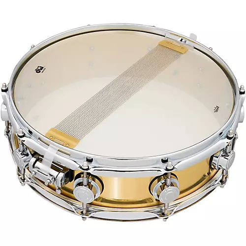 DW Collector's Series Polished Brass Snare Drum 14 x 4 in. - musicians--Friend