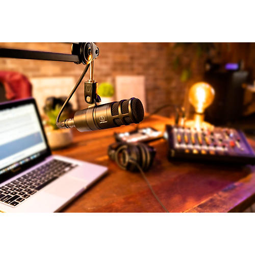 Audio-Technica AT2040 Hypercardioid Dynamic Podcast Microphone - musicians--Friend