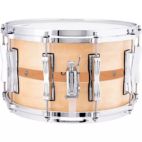 Ludwig Maple Coliseum Snare Drum 14 x 8 in. - musicians--Friend