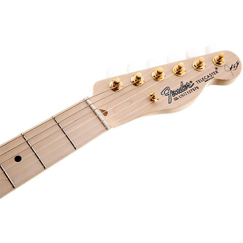 Fender Artist Series James Burton Telecaster Electric Guitar Blue Paisley Flames - musicians--Friend