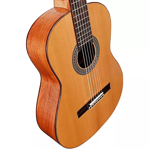 Alvarez AC65 Nylon-String Classical Acoustic Guitar - musicians--Friend