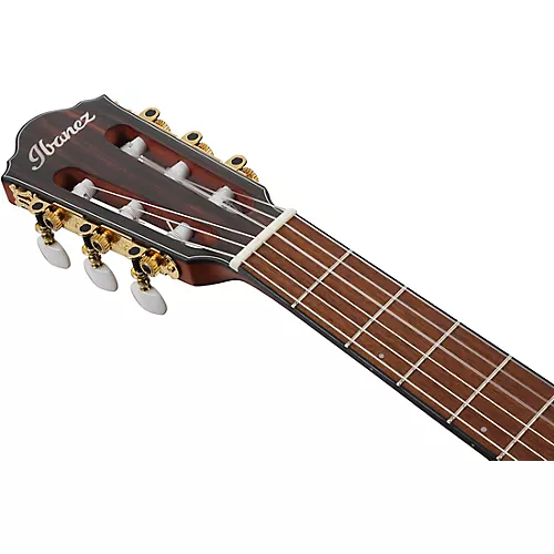 Ibanez FRH10N Nylon-String Acoustic-Electric Guitar Rose Gold Metallic Flat - musicians--Friend