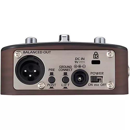Zoom AC-2 Acoustic Creator - musicians--Friend