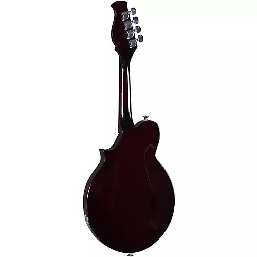 Kentucky KM-300E 4-String Electric Mandolin Traditional Sunburst - musicians--Friend