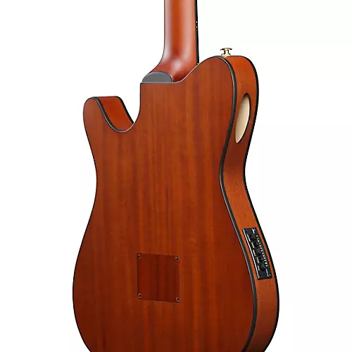 Ibanez FRH10N Nylon-String Acoustic-Electric Guitar Rose Gold Metallic Flat - musicians--Friend