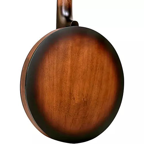 Gold Tone CC Banjitar Natural - musicians--Friend