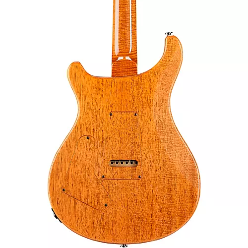 PRS Private Stock Custom 24-08 With Curly Maple Top, Figured Mahogany Back and Neck, Brazilian Rosewood Fretboard, Pattern Regular Neck Shape Electric Guitar Darkside Cross Fade - musicians--Friend