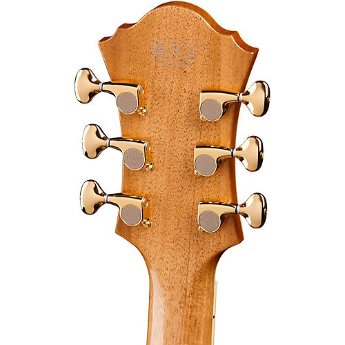 Ibanez PM200 Pat Metheny Signature Hollowbody Electric Guitar Natural - musicians--Friend