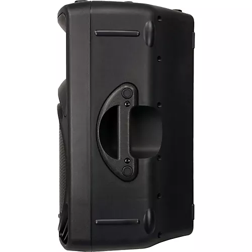 Mackie C300z Passive Speaker (Black) - musicians--Friend