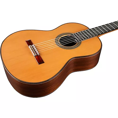 Alhambra Linea Profesional Classical Guitar Natural - musicians--Friend