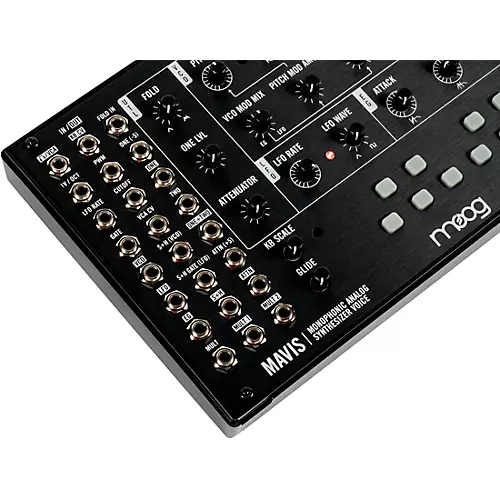 Moog Mavis Monophonic Analog Synthesizer - musicians--Friend