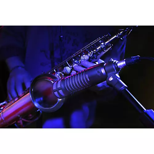 Electro-Voice RE320 Cardioid Dynamic Broadcast and Instrument  Microphone - musicians--Friend