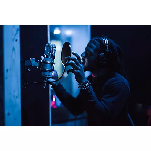 Lauten Audio Eden LT-386 Multi-Voicing Large-Diaphragm Vacuum Tube Condenser Microphone - musicians--Friend