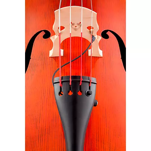 KNA DB-1 Double Bass Pickup - musicians--Friend