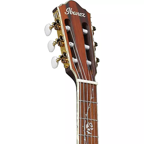 Ibanez TOD10N Tim Henson Signature Nylon Acoustic-Electric Guitar Black Flat - musicians--Friend