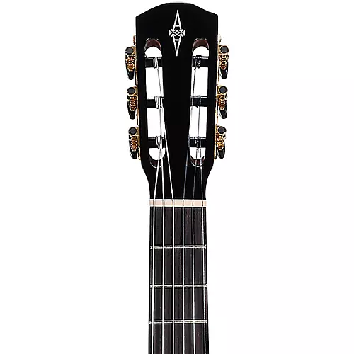 Alvarez RS26N Nylon-String Classical Acoustic Guitar Natural - musicians--Friend