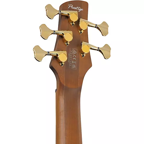 Ibanez Prestige SR4505 5-String Electric Bass Guitar Desert Sunset Burst - musicians--Friend