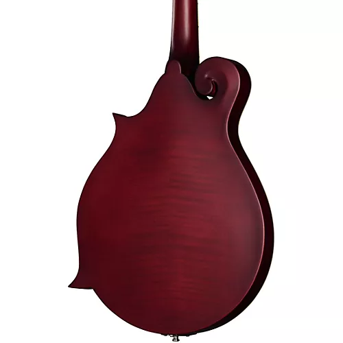 Epiphone F-5 Studio F-Style Mandolin Wine Red Satin - musicians--Friend