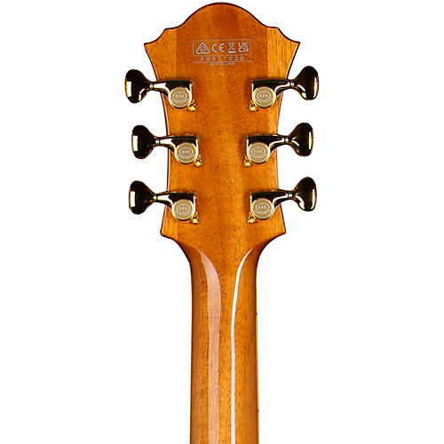 Ibanez PM200 Pat Metheny Signature Hollowbody Electric Guitar Natural - musicians--Friend