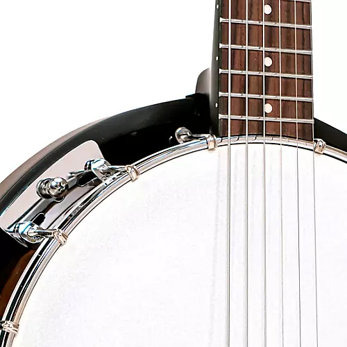 Gold Tone CC Banjitar Natural - musicians--Friend