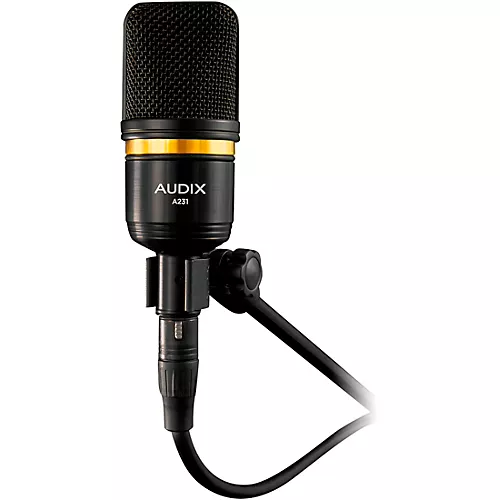 Audix A231 Large-Diaphragm Condenser Microphone - musicians--Friend