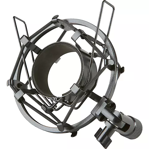 MXL R40 Ribbon Microphone - musicians--Friend