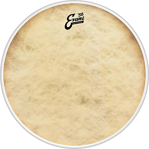 EVANS Calftone Bass Drum Head 18 in. - musicians--Friend