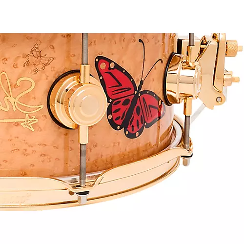 DW Sheila E. ICON Snare Drum 13 x 5.5 in. - musicians--Friend