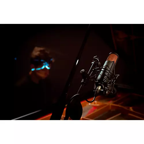 Antelope Audio Edge Duo Modeling Microphone - musicians--Friend