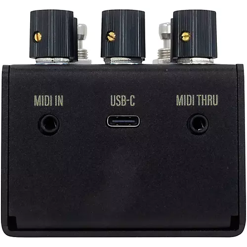 Walrus Audio Mako Series R1 High-Fidelity Reverb MKII Black - musicians--Friend