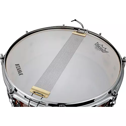 TAMA Peter Erskine Signature Spruce/Maple Snare Drum 14 x 4.5 in. - musicians--Friend