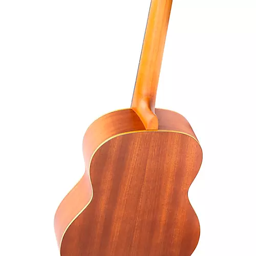 Ortega Family Series R121SN Slim Neck Classical Guitar Natural Matte - musicians--Friend