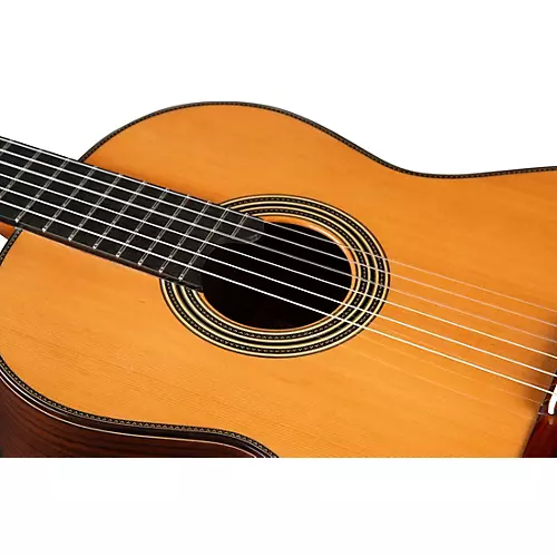 Alhambra Linea Profesional Classical Guitar Natural - musicians--Friend