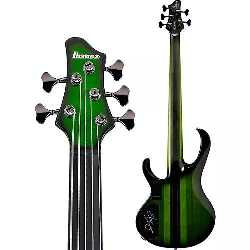 Ibanez Steve Di Giorgio Signature 5-string Electric Bass Guitar Dark Moss Burst - musicians--Friend
