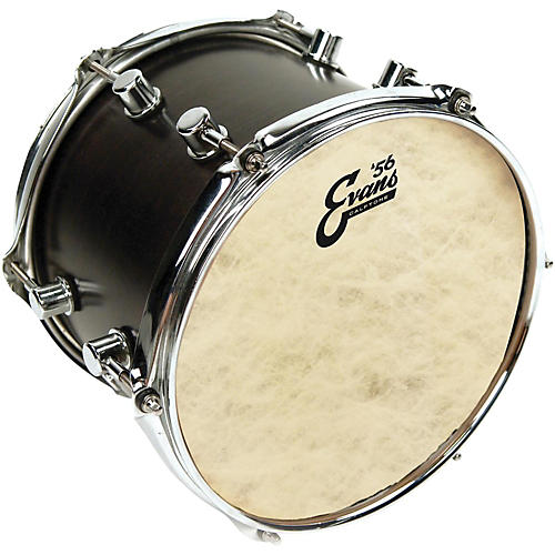 Evans Calftone Drum Head 8 in. - musicians--Friend