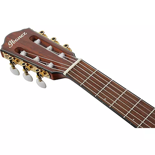 Ibanez FRH10N Nylon-String Acoustic-Electric Guitar Rose Gold Metallic Flat - musicians--Friend