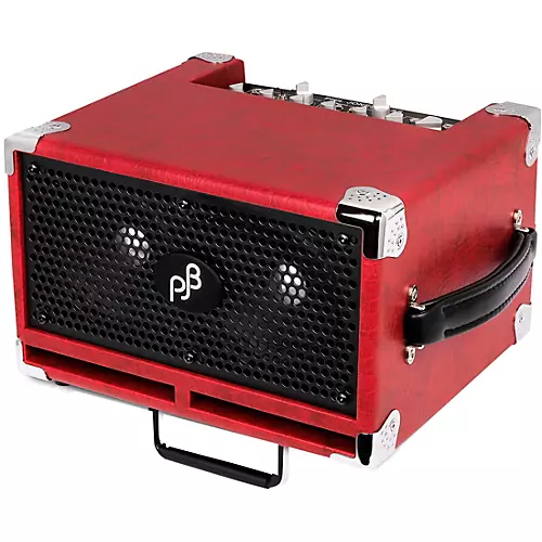 Phil Jones Bass BG-120B Bass Cub Pro 2x5 120W Combo Amp Black - musicians--Friend