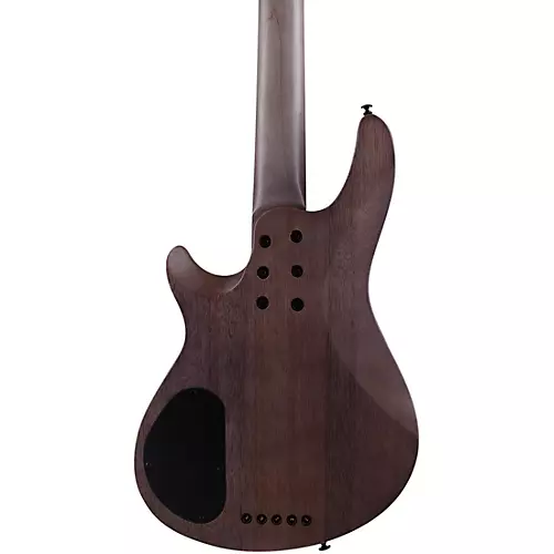 Schecter Guitar Research Omen Elite-5 5-String Electric Bass See-Thru Blue Burst - musicians--Friend