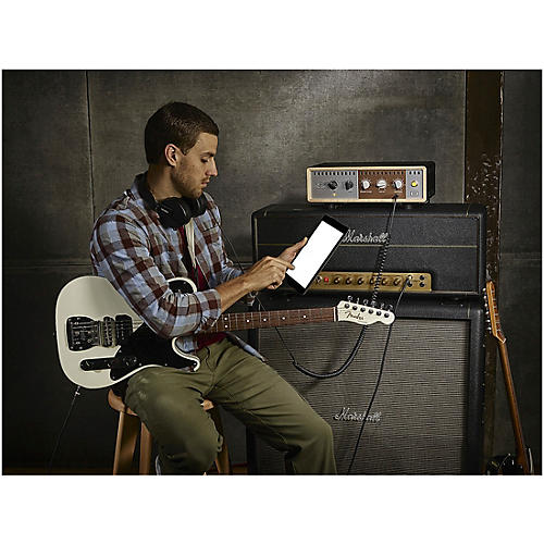 Universal Audio OX Amp Top Box Guitar Recording System and Reactive Load - musicians--Friend