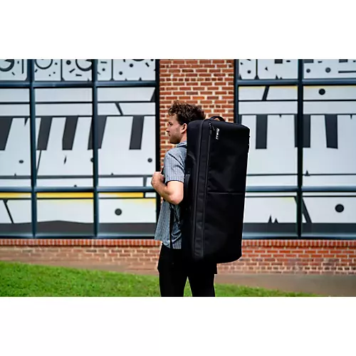 Moog Matriarch SR Case - musicians--Friend