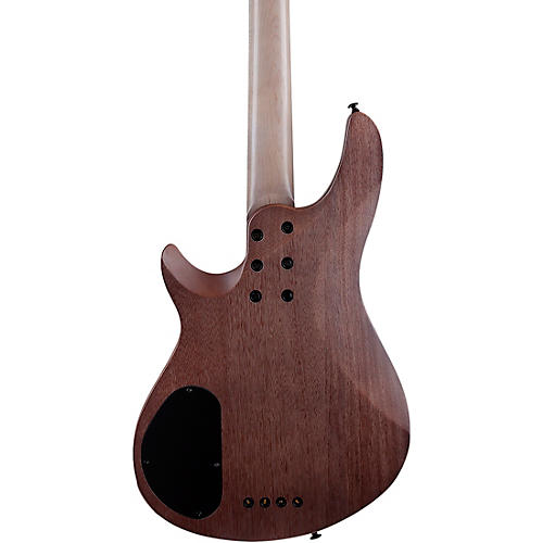 Schecter Guitar Research Omen Elite-4 4-String Electric Bass Guitar See-Thru Blue Burst - musicians--Friend