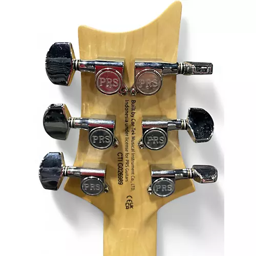 Used PRS SE SWAMP ASH SPECIAL IRIS BLUE Solid Body Electric Guitar IRIS BLUE - musicians--Friend