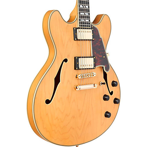 D'Angelico Deluxe DC Semi-Hollow Electric Guitar Satin Trans Wine - musicians--Friend