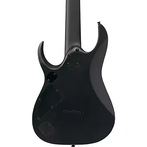 Ibanez RGD Iron Label 7-String Electric Guitar Black Flat - musicians--Friend
