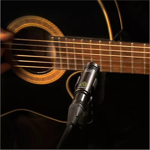 LEWITT LCT 040 MATCH Matched Stereo Pair - musicians--Friend