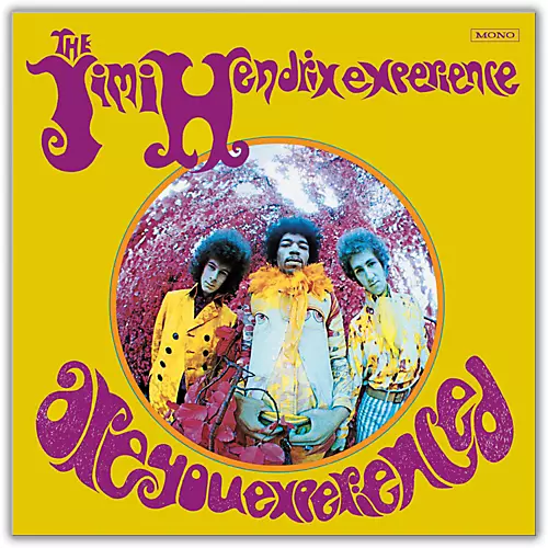 The Jimi Hendrix Experience - Are You Experienced Vinyl LP - musicians--Friend