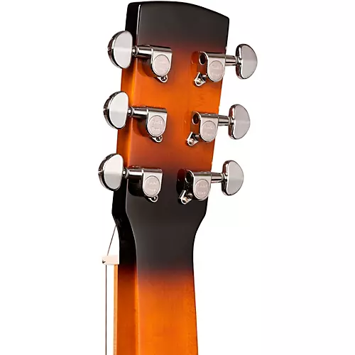 Gold Tone PBS-D Paul Beard Signature Series Squareneck Deluxe Resonator Guitar Tobacco Sunburst - musicians--Friend